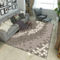 Crossborder Living Room Autumn And Winter Coffee Table Home Carpet